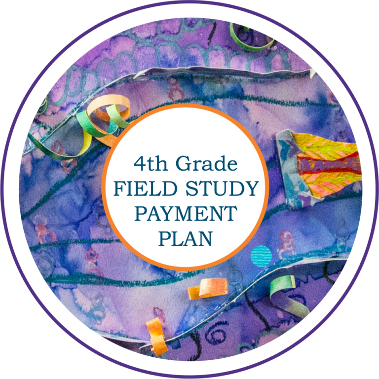 study field meaning