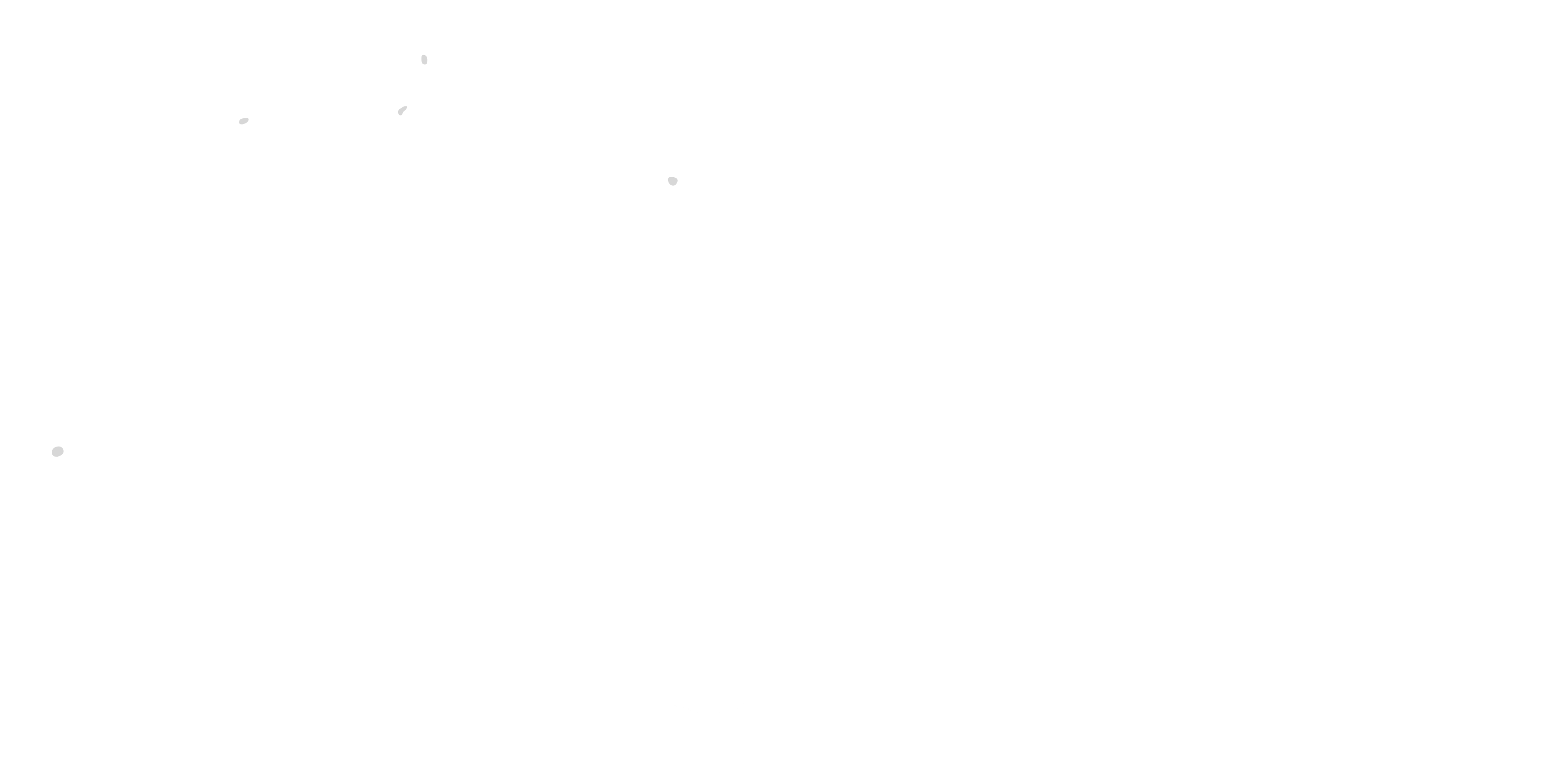 Nevada City School of The Arts